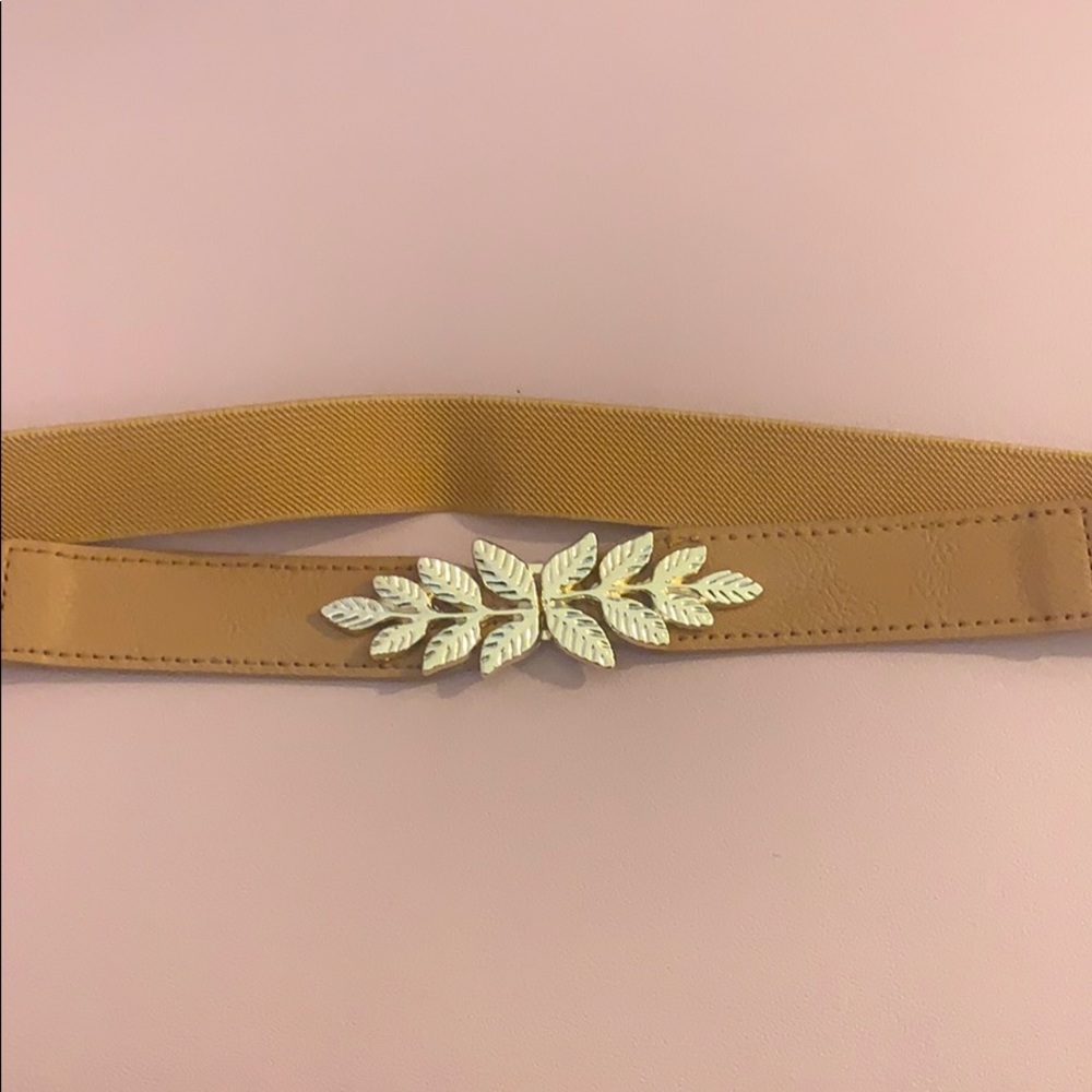 Brown elastic belt